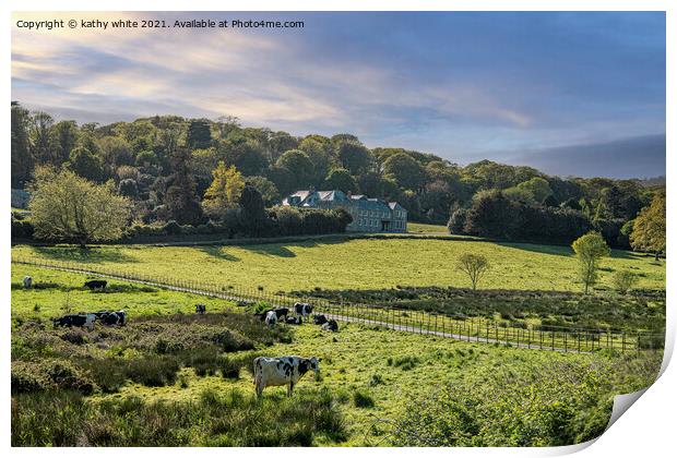 Penrose  farmland and woodland  Cornwall southwest Print by kathy white
