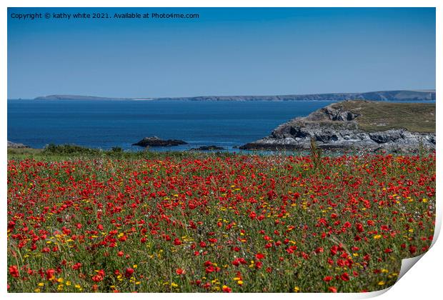 West Pentire ,red poppies,Crantock Beech,  Print by kathy white