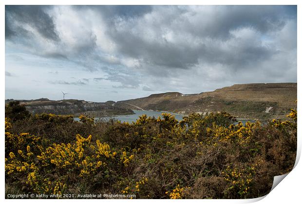 St Austell, The Cornish Alps, china clay  Print by kathy white