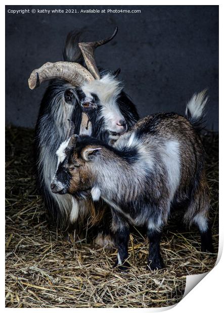 Two beautiful goats Print by kathy white