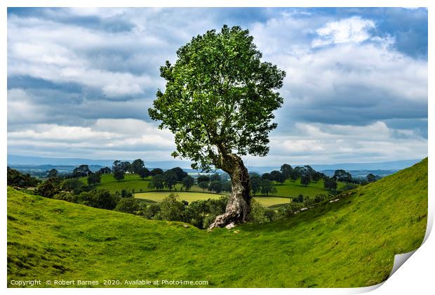 The Lonely Tree Print by Lrd Robert Barnes