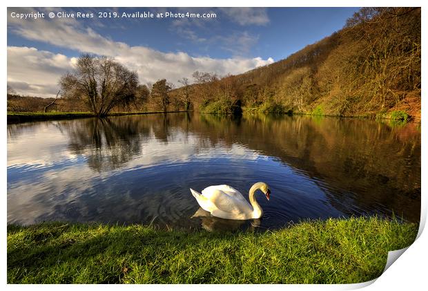 Swan Lake Print by Clive Rees