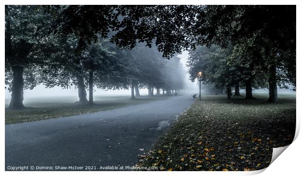 Early Autumn Mist Print by Dominic Shaw-McIver