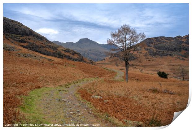 The path to Langdale Pikes Print by Dominic Shaw-McIver