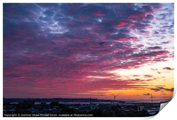 Bird's eye view Print by Dominic Shaw-McIver