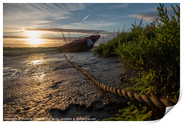 Tranquil Marsh Boat Print by Dominic Shaw-McIver
