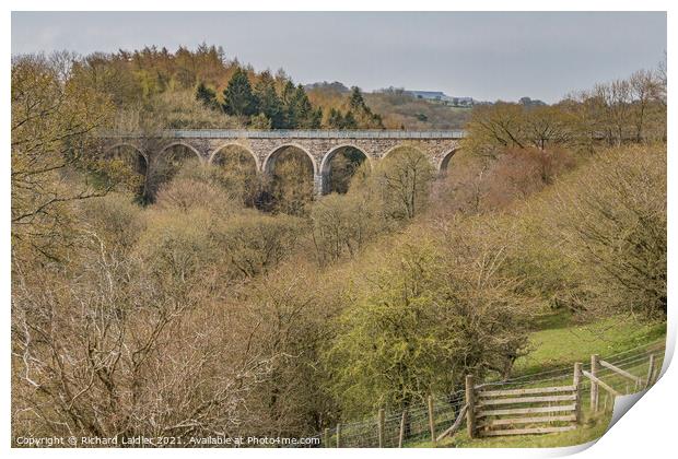 Cotherstone Viaduct Teesdale Print by Richard Laidler