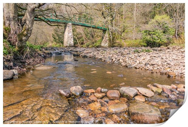 Footbridge Over the River Balder at Cotherstone, Teesdale Print by Richard Laidler