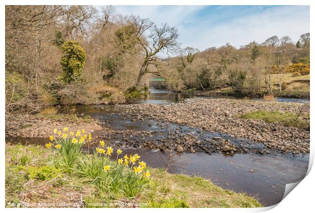 Balder Tees Confluence at Cotherstone, Teesdale (1) Print by Richard Laidler