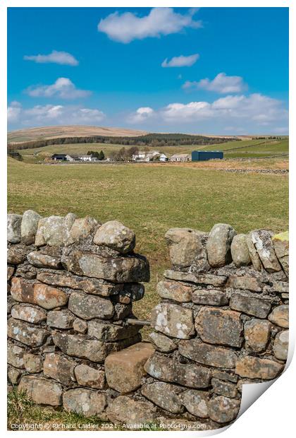 Path to Langdon Beck, Teesdale  Print by Richard Laidler