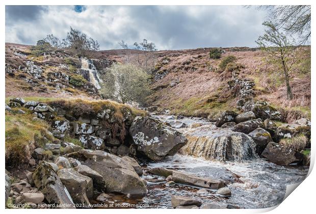 Blea Beck Force, Teesdale (1) Print by Richard Laidler