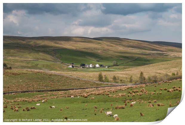 Marshes Gill Farm Harwood Print by Richard Laidler