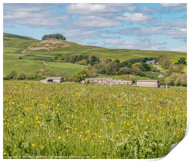 Kirkcarrion and Flower Meadows Print by Richard Laidler