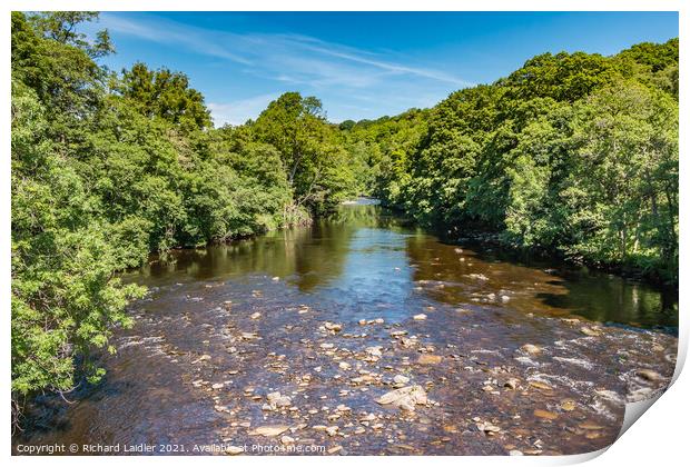 Summer on the River Tees at Cotherstone Print by Richard Laidler