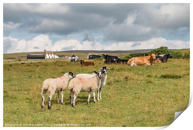 Scar End Farm, Ettersgill, Teesdale Print by Richard Laidler