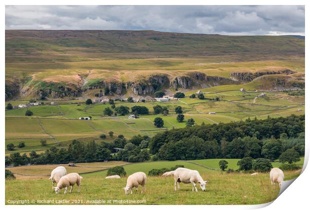 Spotlight on Holwick, Teesdale Print by Richard Laidler