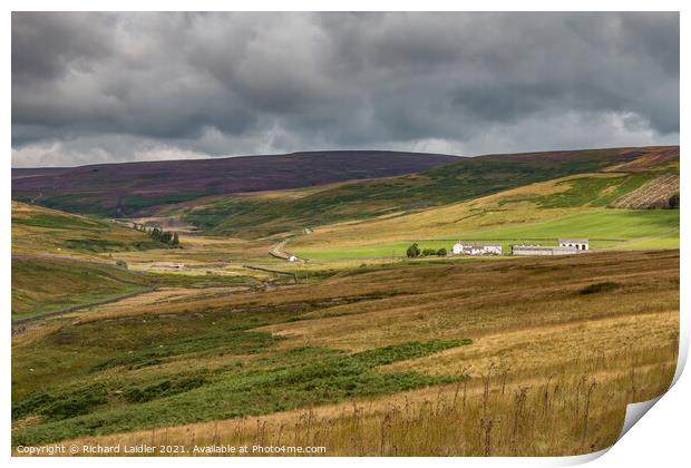 Spotlight on Middle End Farm, Teesdale Print by Richard Laidler