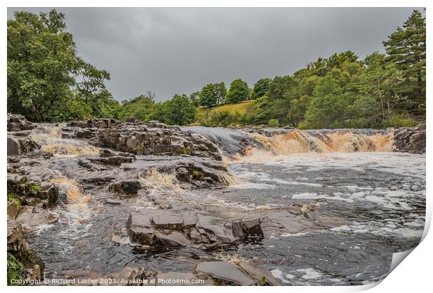 River Tees at Low Force, Teesdale in Late Summer Print by Richard Laidler