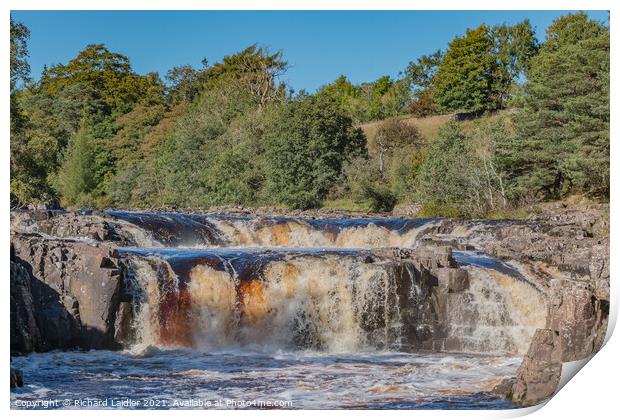 Low Force Waterfall, Teesdale in October Sunshine Print by Richard Laidler