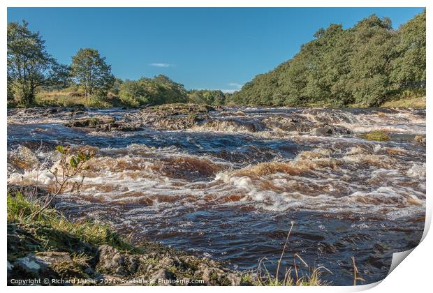 River Tees above Low Force Print by Richard Laidler