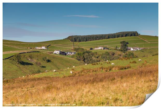 Ettersgill Farms Print by Richard Laidler