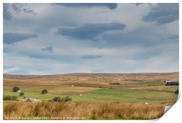 Towards Newbiggin Common from Holwick, Teesdale Print by Richard Laidler