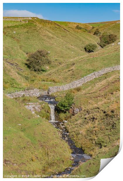 Teesdale Sike and Waterfall Print by Richard Laidler