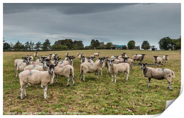 An Audience With - -   Print by Richard Laidler