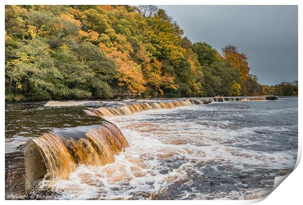 Autumn on the Tees at Whorlton, Teesdale Print by Richard Laidler