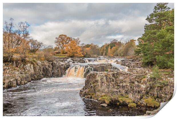 Autumn Brightness at Low Force Waterfall, Teesdale Print by Richard Laidler