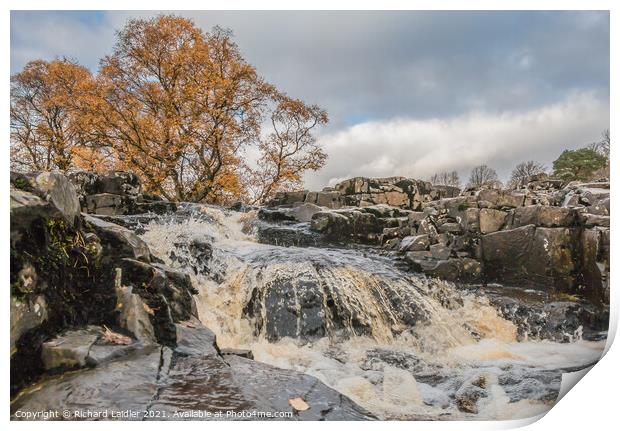 Autumn Brightness at Low Force Waterfall (3) Print by Richard Laidler