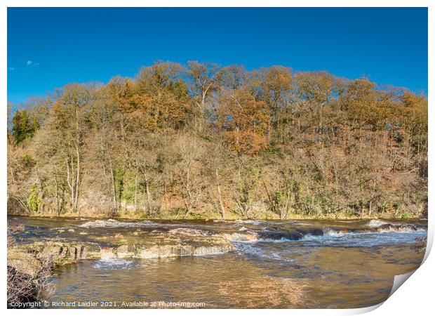 Tees Cascade at Whorlton in late Autumn Print by Richard Laidler