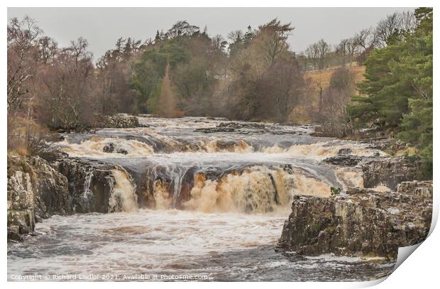 Low Force Waterfall, Teesdale in Flood (1) Print by Richard Laidler