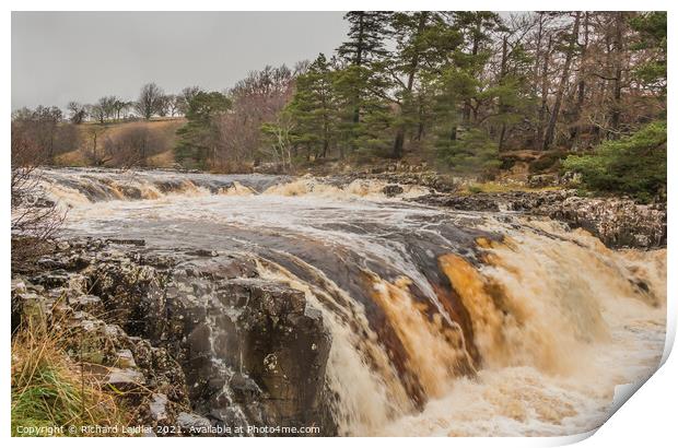 Low Force Waterfall, Teesdale, in Flood (2) Print by Richard Laidler