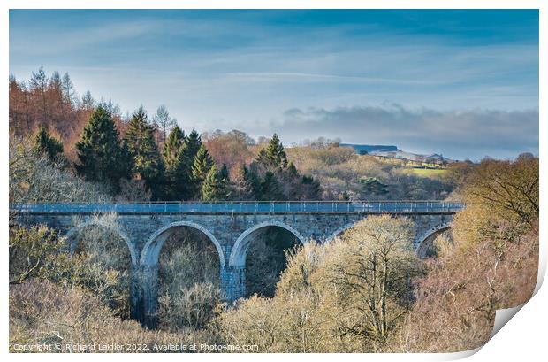 Cotherstone Viaduct Print by Richard Laidler