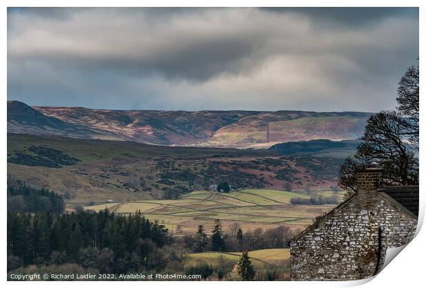 Bright Spot on Cronkley Fell Print by Richard Laidler