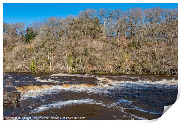 The River Tees at Whorlton in Strong  Winter Sunshine Print by Richard Laidler