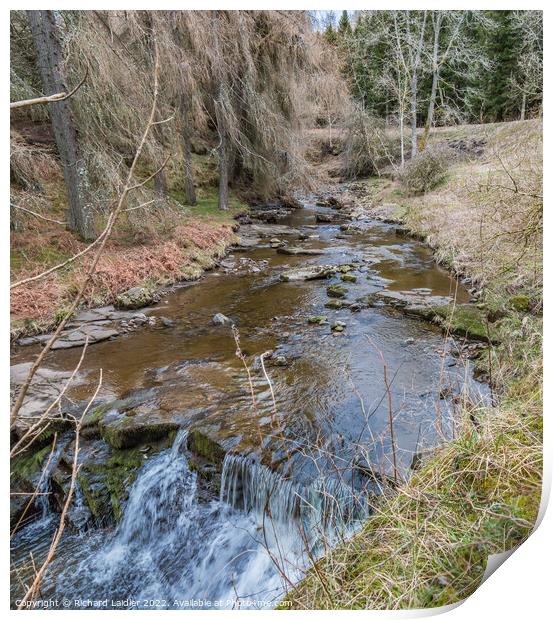 Hudeshope Beck near Middleton in Teesdale (2) Print by Richard Laidler