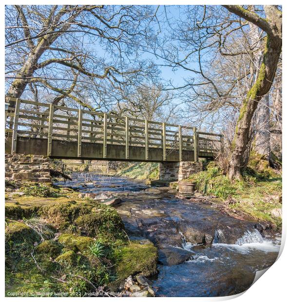 Teesdale Way Footbridge over Wilden Beck Print by Richard Laidler