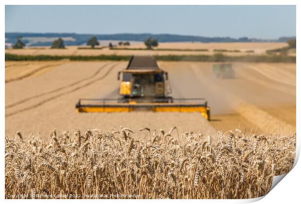 Wheat Harvest on Foxberry Aug 2022 (3) Print by Richard Laidler
