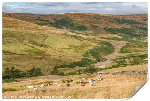 The Hudes Hope and Coldberry Mine, Teesdale in Late Summer  Print by Richard Laidler