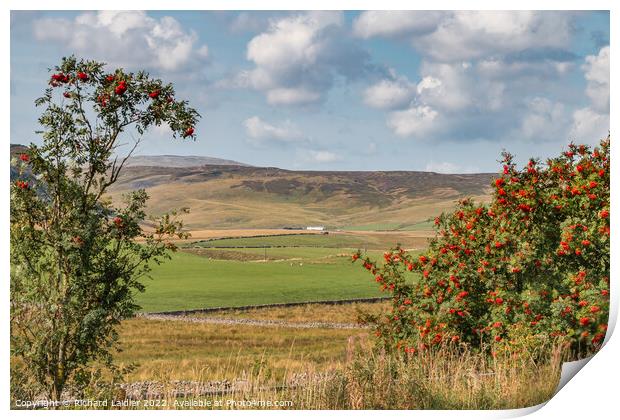 Towards Widdybank Farm and Fell, Teesdale Print by Richard Laidler