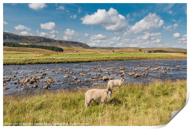 The Pennine Way at Cronkley, Teesdale (2) Print by Richard Laidler