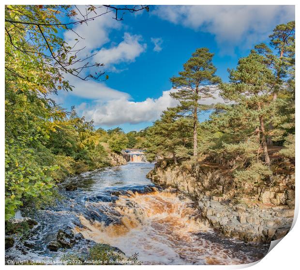 Autumn Tints at Low Force Waterfall, Teesdale Print by Richard Laidler