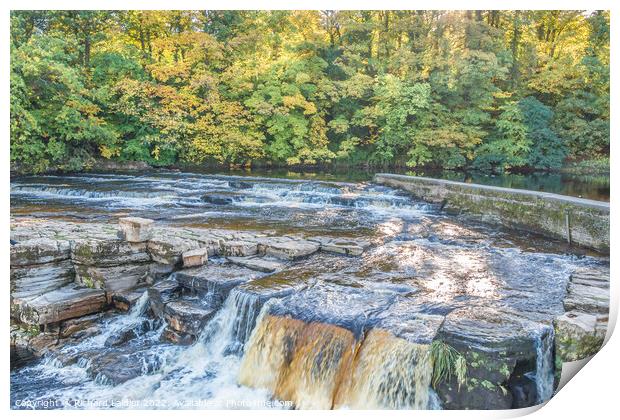 The Falls on the River Swale at Richmond Print by Richard Laidler