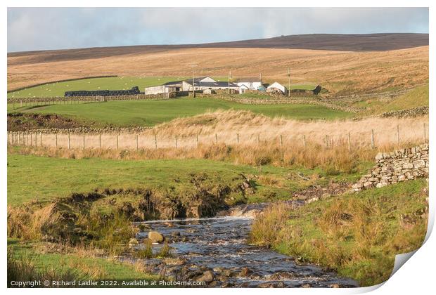 High Beck Head Farm, Ettersgill, Teesdale Print by Richard Laidler