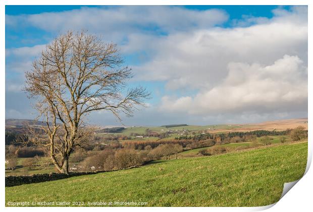 Towards Ettersgill from Miry Lane Print by Richard Laidler