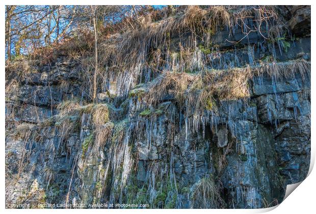 Icicles at Bowlees Quarry, Teesdale Print by Richard Laidler