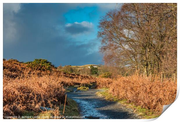 Winter Sun on the Pennine Way near High Force, Teesdale Print by Richard Laidler