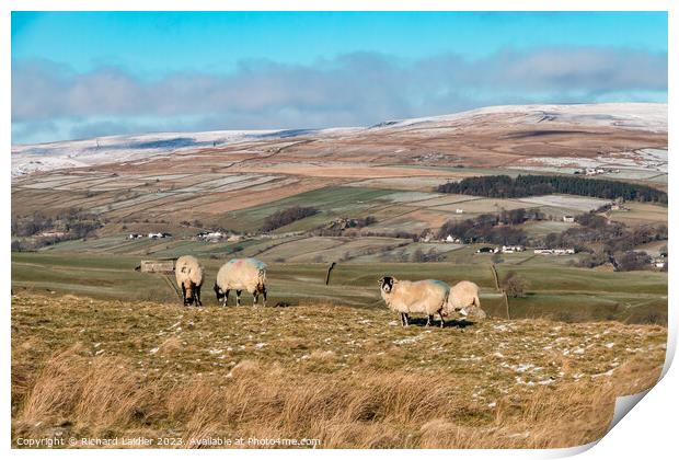 Towards Middle Side, Teesdale, from the Kelton Road Print by Richard Laidler